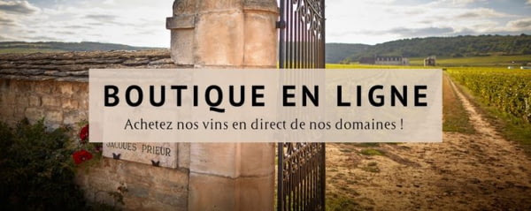 Découvrez tous nos vins !