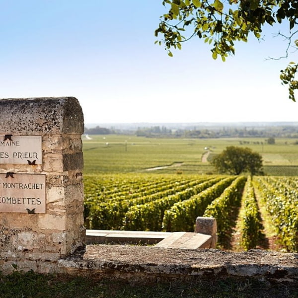 Grands Vins de Bourgogne